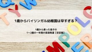 1歳からバイリンガル幼稚園は早すぎる?